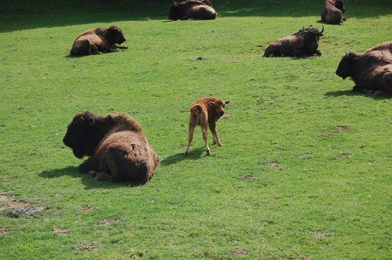 DSC_0072 [50%] [50%].JPG